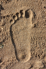 Fototapeta na wymiar Track of foot on sand.