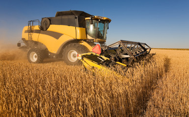 Obraz premium Yellow harvester