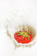 erdbeermilch