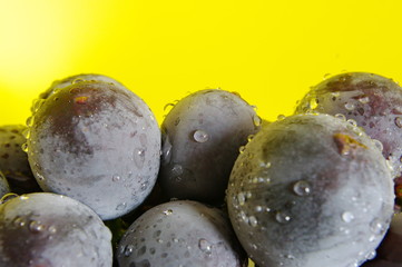 キイレンジャー