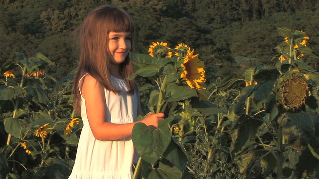 Girl In Sunflower Field