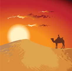 Sunset desert