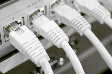 network cables connected to switch