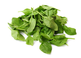 organic homegrown spinach leaves