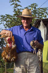 Il Contadino la quaglia e la gallina