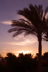 Fototapeta na wymiar Sunset in Egypt