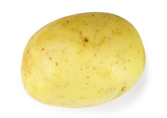 Single potato isolated on white