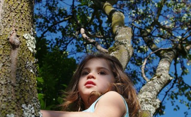 auprès de mon arbre...