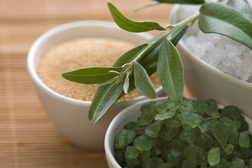 fresh olive branch and bath salt. spa