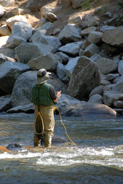 Trout Fisherman on Stream