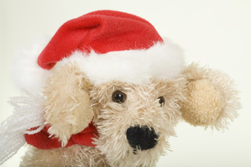 Doggy Santa Clause; close-up