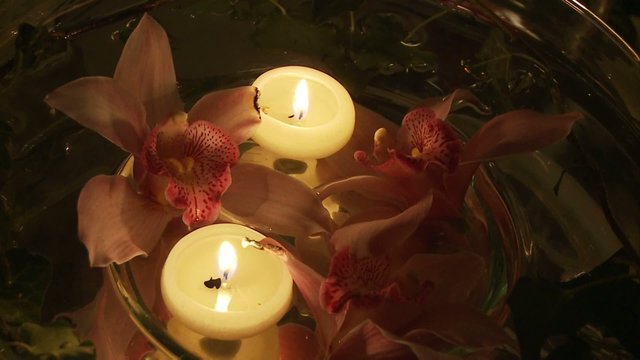 Velas y orqu&iacute;deas