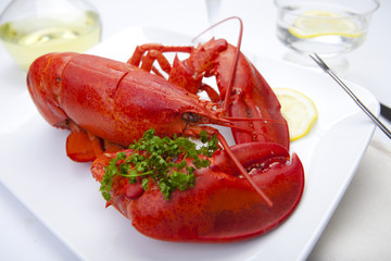 Red Lobster on A Plate