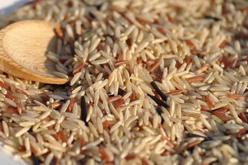 mélange de riz