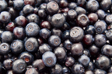 Blueberries