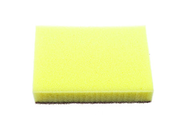 sponge on a white background