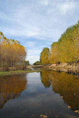 Fototapeta premium rio en otoño