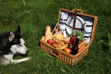 Picknick