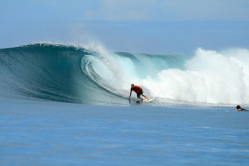 Surfer doing bottom turn, Mentawai Islands, Indonesia
