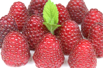 Raspberries closeup