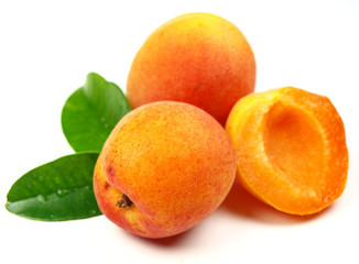 Fresh apricot fruit