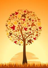 Autumn tree