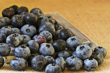 Blaubeeren
