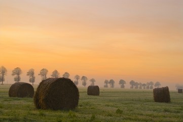 Meules de paille dans un paysage champêtre