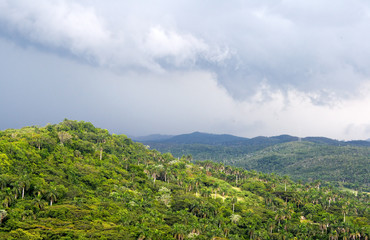 Naklejka premium Hills covered with exuberant green vegetation
