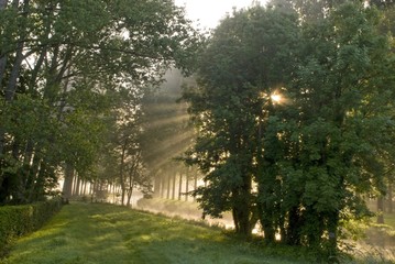 Rayons de soleil dans la brume sur la rivière