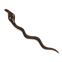 Fototapeta premium cobra