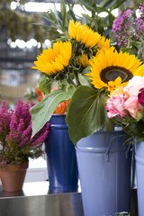 beautiful bouquet of sunflower in blue basket on market