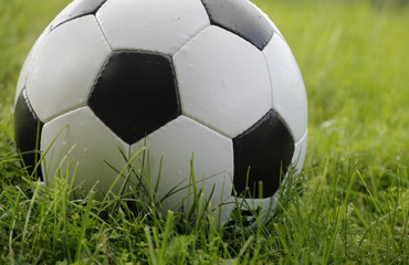 soccer ball on grass