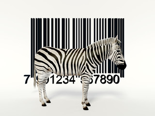creative zebra