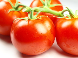tomatoes on white