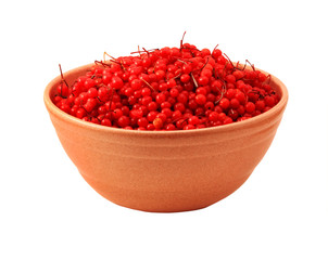 bowl of freshly picked cranberries
