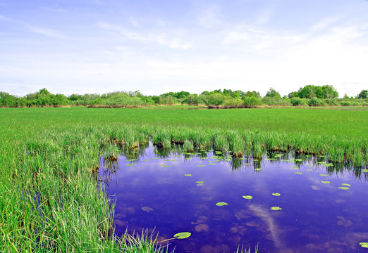 lake on meadow