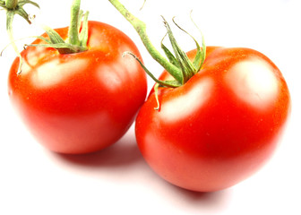 tomatoes on white
