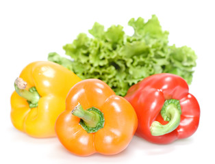three excellent peppers isolated on white background