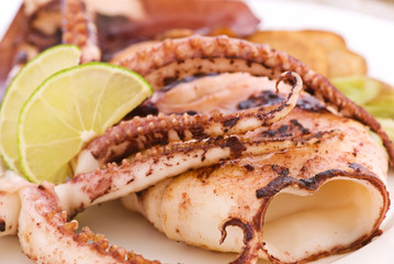 Kalmar gegrillt © HLPhoto