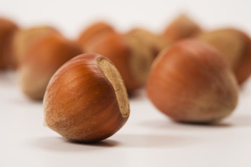 hazelnut