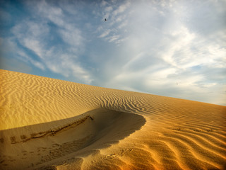 desert sahara