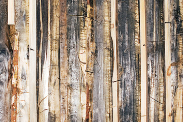 Close up of Wood Background