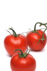 Isolated fresh tomatoes