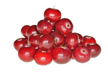 heap of red ripe cranberries