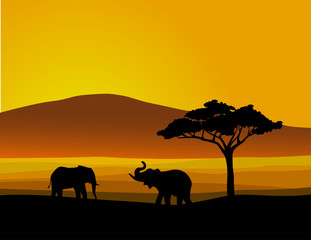 Fototapeta premium Landscape of wildlife Africa