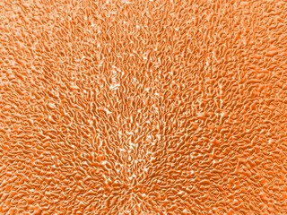 fall color of wet fallen leaves