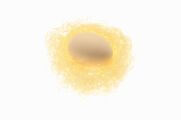 卵と鳥の巣