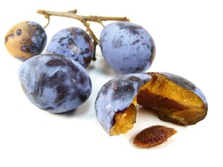 Plum