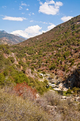 Fototapeta na wymiar Dolina w Sequoia National Park